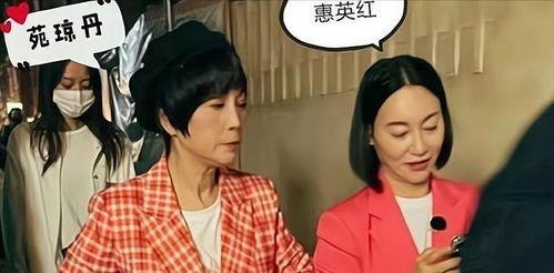 港星搞笑爆料大全视频下载,笑料横飞，幕后故事大揭秘  第1张